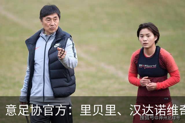 意足协官方：里贝里、汉达诺维奇，迪亚曼蒂等获欧足联职业教练证
